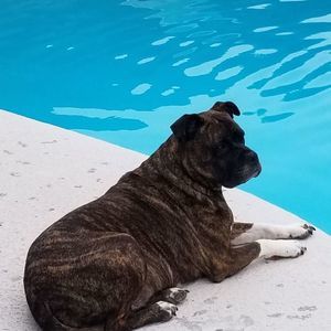 Meet your Posher, Kristin